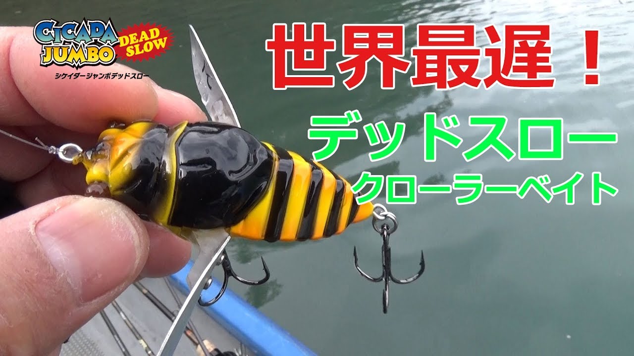 Cicada Jumbo Dead Slow