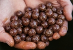 CC Moore Pacific Tuna 24mm 5 kg Протеинови топчета