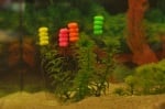Mivardi MagiCorn Pop Up - Fish Плуваща царевица Риба