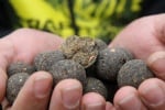 Mivardi Rapid Boilies Platinum Crazy Liver 950g Протеинови топчета