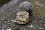 Mivardi Rapid Boilies Platinum Crazy Liver 950g Протеинови топчета