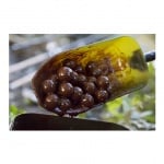 Misel Zadravec Monster Carp Boilies Red Spice Топчета за подхванване 2.5кг 20mm