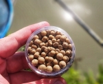 Top Mix Aqua Wafters Classic 10mm Вафтери